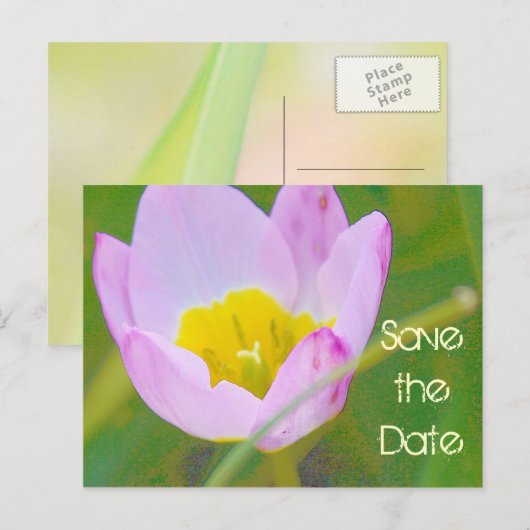 tulp bloem save the date blanco kaart (Voorkant / Achterkant)