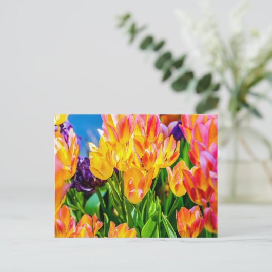 Tulp Bloemen - Bloeien Briefkaart (Staand voorkant)