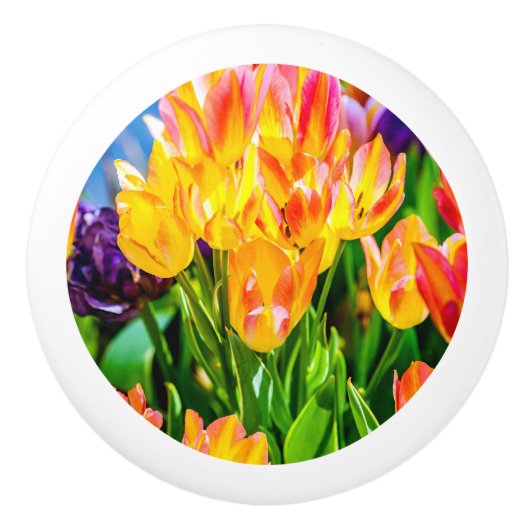 Tulp Bloemen - Bloeien Keramische Knop (Voorkant)