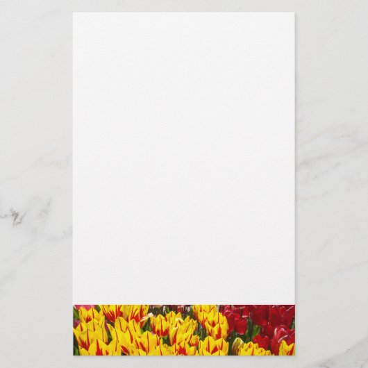 Tulp Bloemen Briefpapier Lente Gele Tulpen (Voorkant)