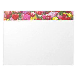 Tulp Bloemen Notitieblokken Lente Tulpen Bloemig