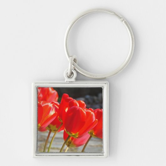 Tulp Bloemen sleutelhanger Rode Tulpen sleutelhang (Voorkant)