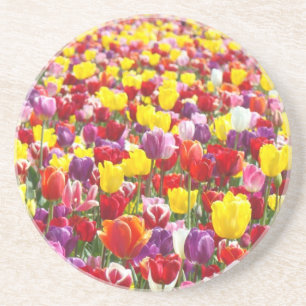 Tulp Bloemen Zandsteen Onderzetters Lente