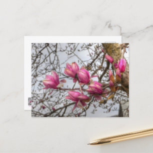 Tulp Blossom Briefkaart