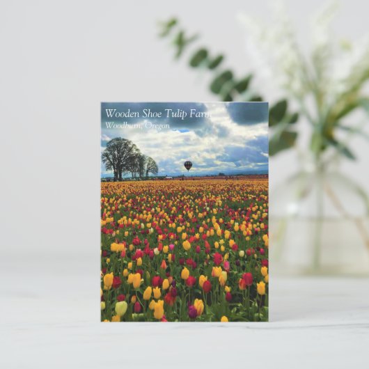 Tulp-Boerderij in het Briefkaart Oregon (Staand voorkant)