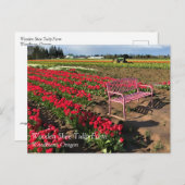 Tulp-Boerderij in het Briefkaart Oregon (Voorkant / Achterkant)