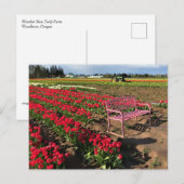 Tulp-Boerderij in Oregon Briefkaart (Voorkant / Achterkant)