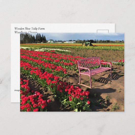 Tulp-Boerderij in Oregon Briefkaart (Voorkant / Achterkant)