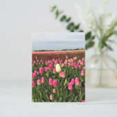 Tulp-Boerderij in Oregon Briefkaart (Staand voorkant)