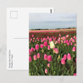 Tulp-Boerderij in Oregon Briefkaart (Voorkant / Achterkant)
