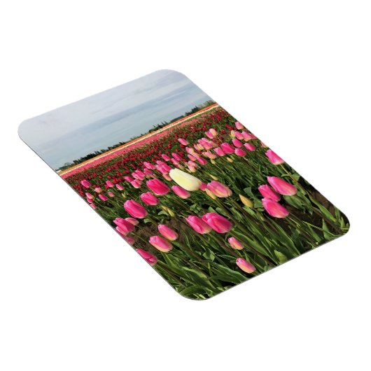 Tulp-Boerderij in Oregon Magneet (Rechterzijde)