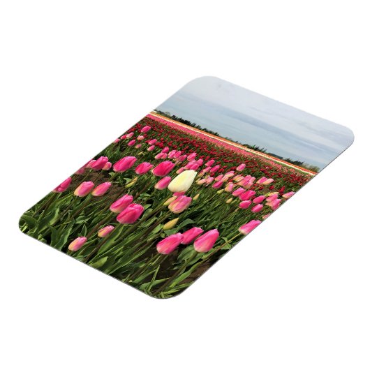 Tulp-Boerderij in Oregon Magneet (Linkerzijde)