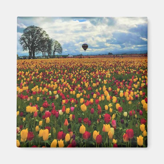 Tulp-Boerderij in Oregon Magneet (Voorkant)