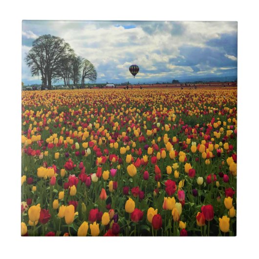 Tulp-Boerderij in Oregon Tegeltje (Voorkant)
