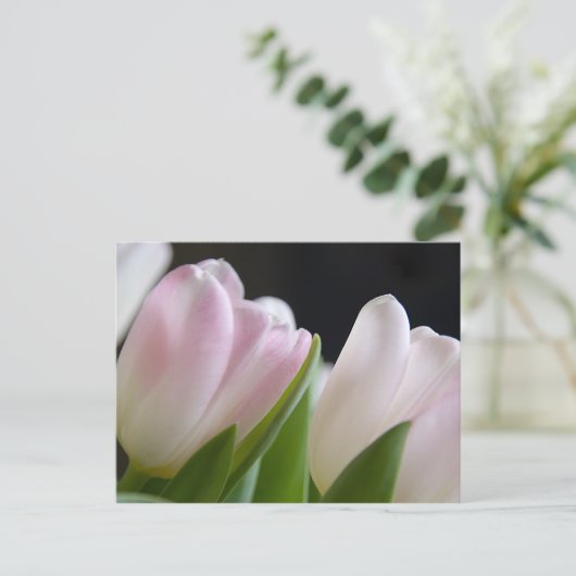Tulp Briefkaart (Staand voorkant)