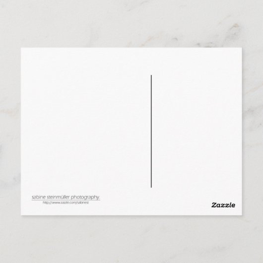 Tulp Briefkaart (Achterkant)