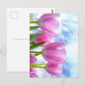 Tulp Briefkaart (Voorkant / Achterkant)
