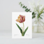 Tulp Briefkaart (Staand voorkant)