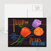 Tulp Briefkaart (Voorkant / Achterkant)