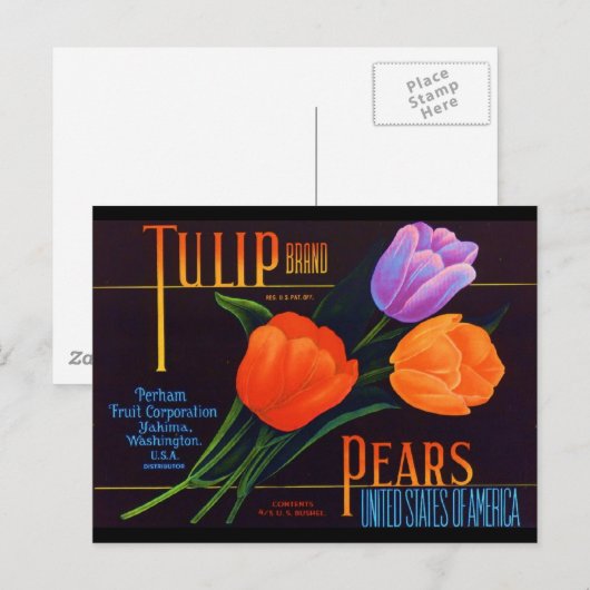 Tulp Briefkaart (Voorkant / Achterkant)