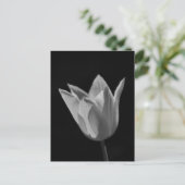 Tulp Briefkaart (Staand voorkant)