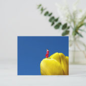 Tulp Briefkaart (Staand voorkant)