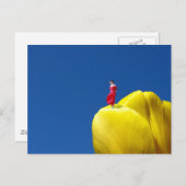 Tulp Briefkaart (Voorkant / Achterkant)