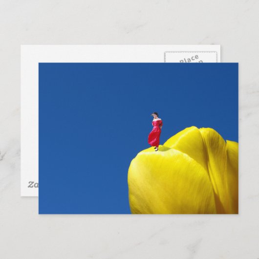 Tulp Briefkaart (Voorkant / Achterkant)