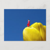 Tulp Briefkaart (Voorkant)