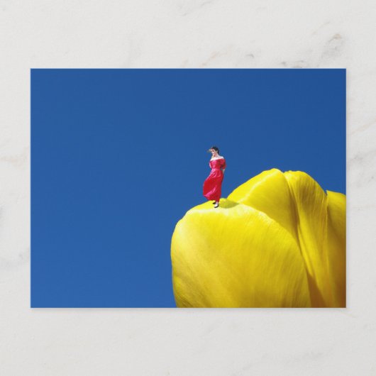 Tulp Briefkaart (Voorkant)