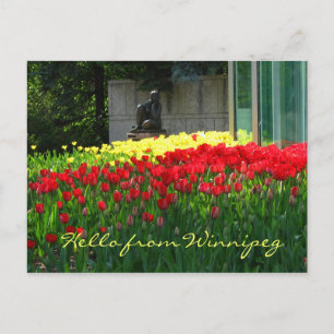 Tulp Briefkaart