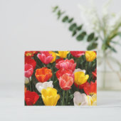 Tulp briefkaart (Staand voorkant)