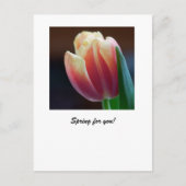 Tulp Briefkaart (Voorkant)
