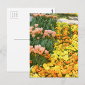 Tulp [Briefkaart] Briefkaart (Voorkant / Achterkant)