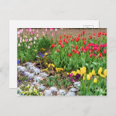 Tulp [Briefkaart] Briefkaart (Voorkant / Achterkant)