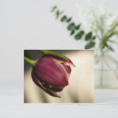 Tulp (briefkaart) briefkaart (Staand voorkant)