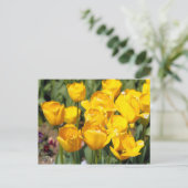 Tulp [Briefkaart] Briefkaart (Staand voorkant)