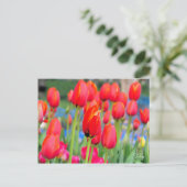 Tulp [Briefkaart] Briefkaart (Staand voorkant)