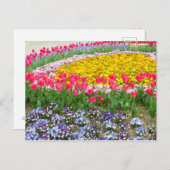 Tulp [Briefkaart] Briefkaart (Voorkant / Achterkant)