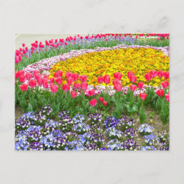 Tulp [Briefkaart] Briefkaart