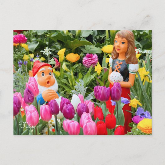 Tulp [Briefkaart] Briefkaart (Voorkant)