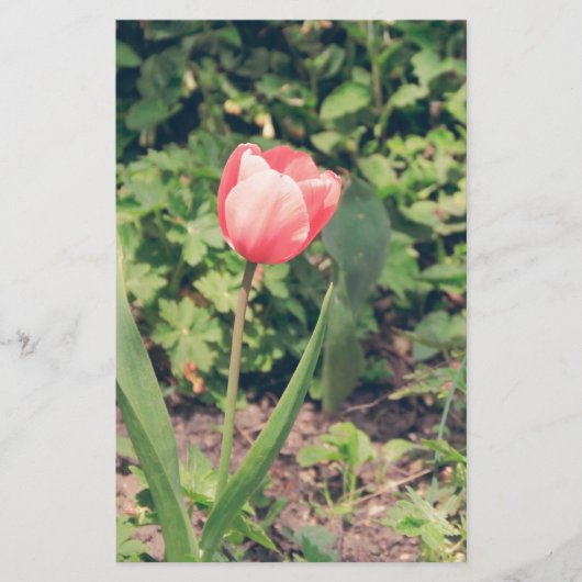 Tulp Briefpapier (Voorkant)