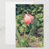 Tulp Briefpapier (Voorkant / Achterkant)