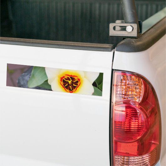 Tulp Bumpersticker (Op Truck)
