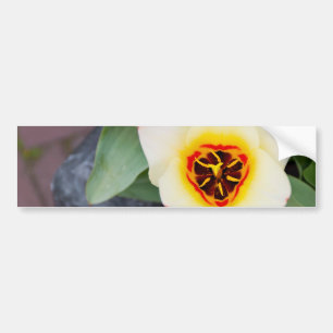 Tulp Bumpersticker