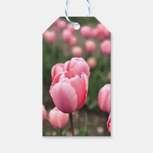 TULP CADEAU LABELS CADEAULABEL (Voorkant)