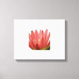 Tulp Canvas Afdruk