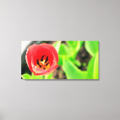 Tulp Canvas Afdruk (Voorkant)
