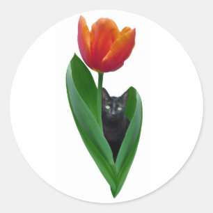 Tulp Cat Sticker