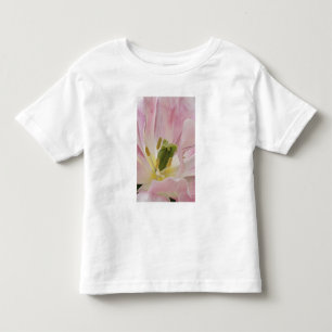 Tulp close-up, Keukenhof Tuinen, Lisse, Kinder Shirts